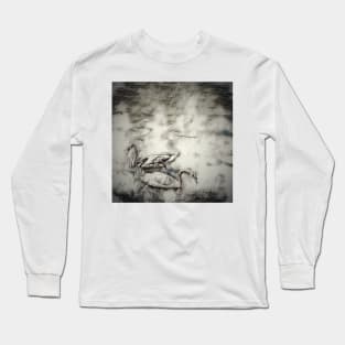 Two swans Long Sleeve T-Shirt